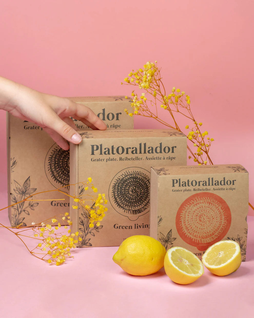 Boxed ceramic garlic graters