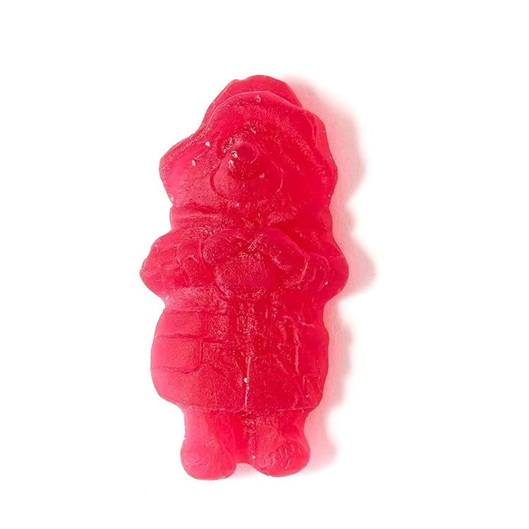 Paddington Bear Fruity Vegan Gummy Sweets Gift Tin - 120g