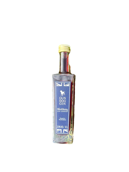Blackberry Gin 35cl